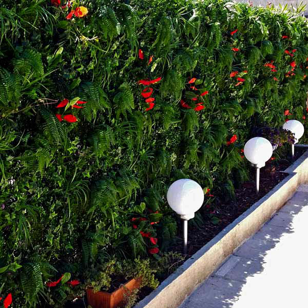 Mur végétal extérieur – Mur Végétal Artificiel