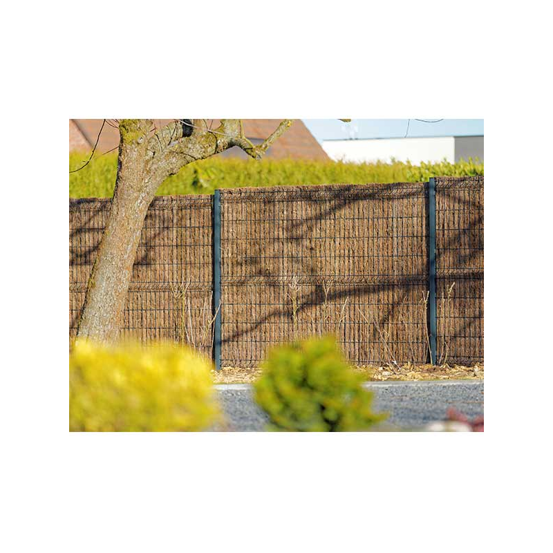 brise vue brande de bruyère