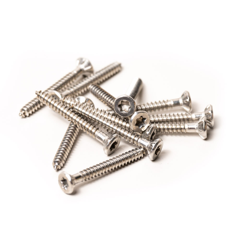 Vis torx sachet de 152