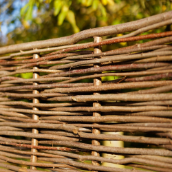 panneau bois noisetier