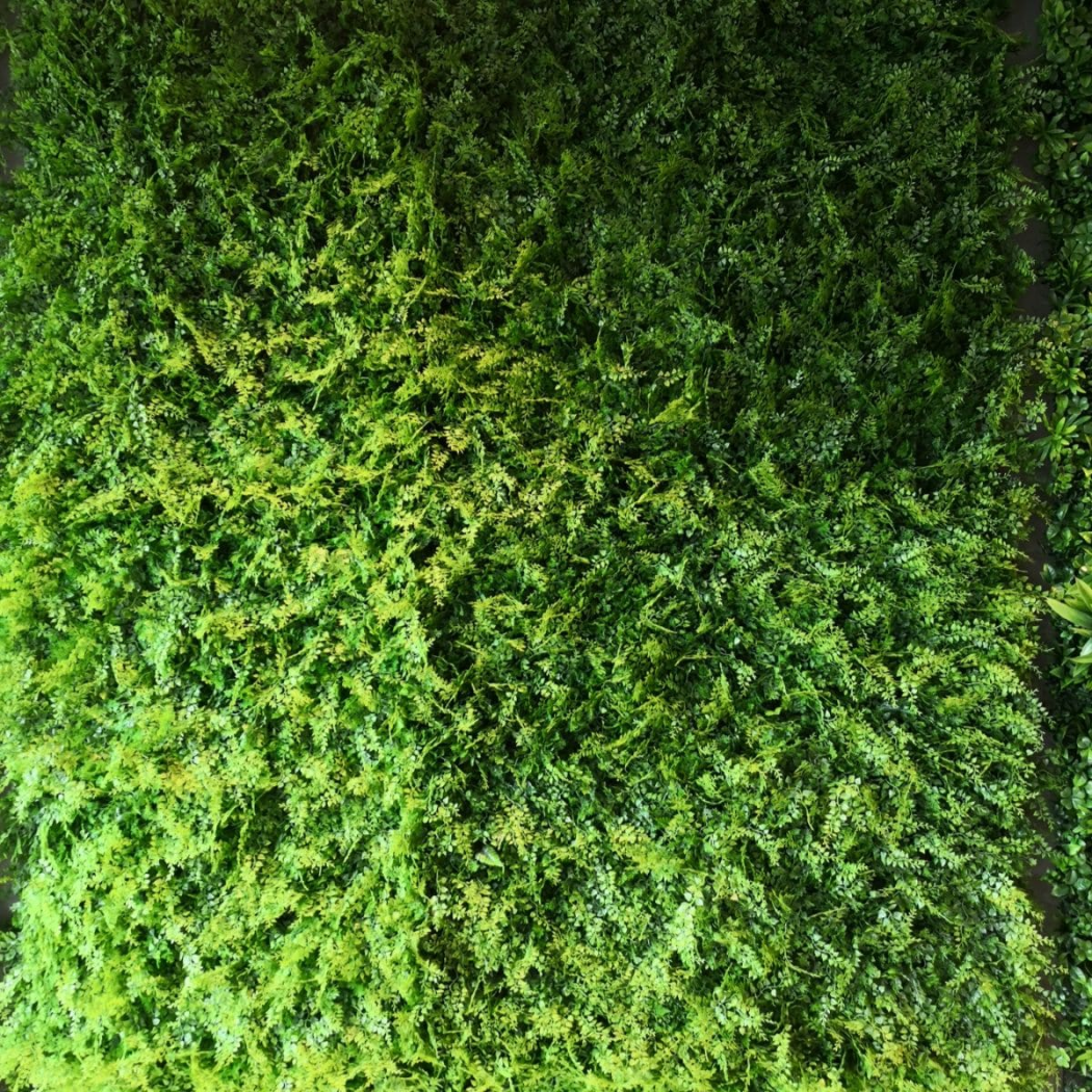 Mur végétal artificiel Fougère