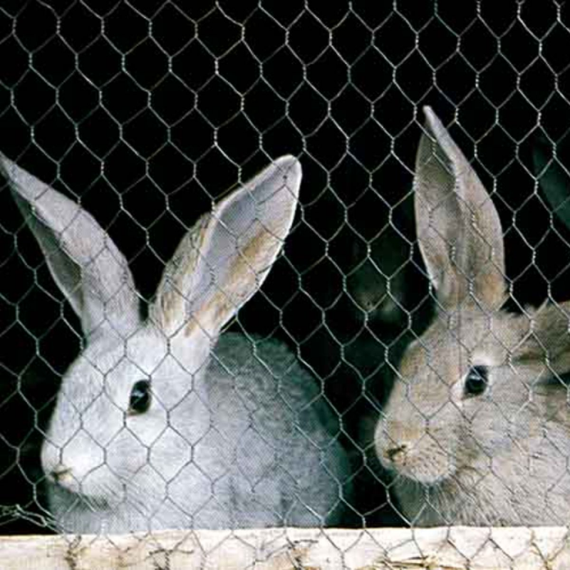 grillage triple torsion