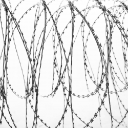 fil barbelé cocertina