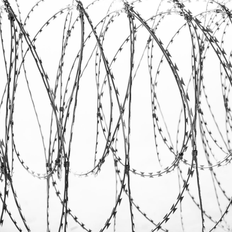 fil barbelé cocertina