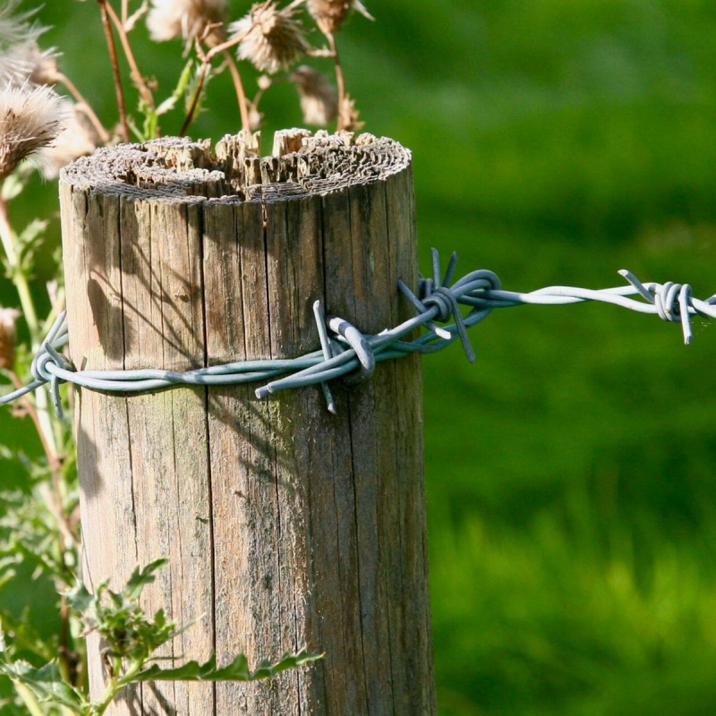 crampillon poteau bois