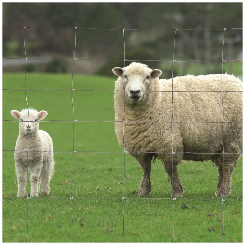grillage noué léger galvanisation riche