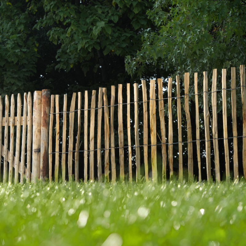 cloture jardin ganivelle chataignier