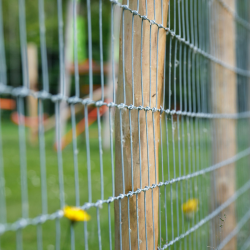 rouleau souple mouton galvanise