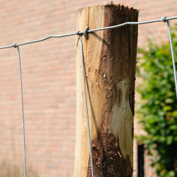 rouleau noue galvanise pour moutons