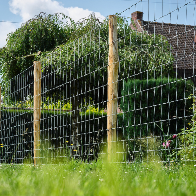 grillage souple moutons noue