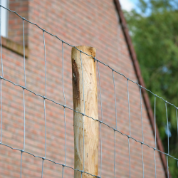 rouleau galvanise mouton