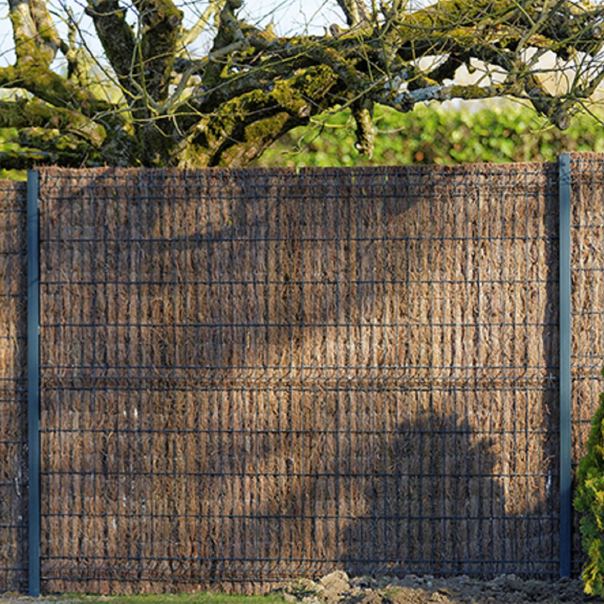 brande-bruyere-rouleau