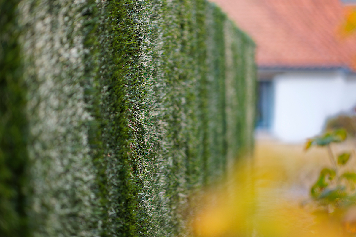 occultation-haie-artificielle