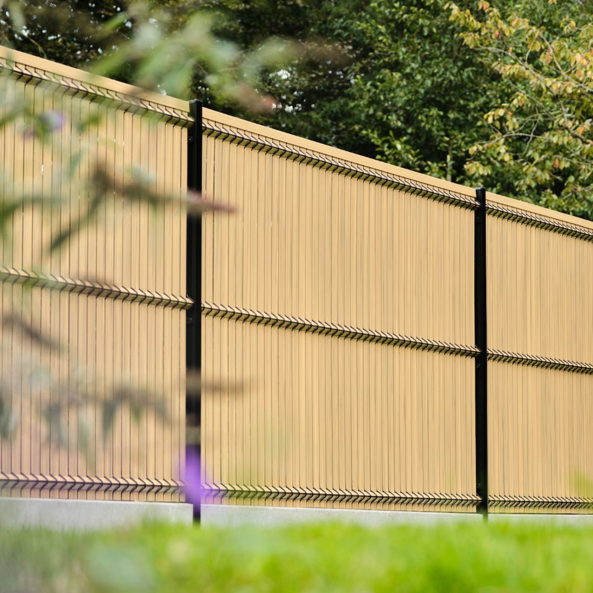 kit-occultation-chene-clair